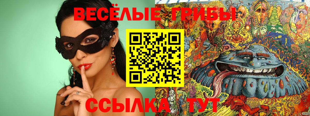 Галлюциногенные грибы Psilocybe  Галлюциногенные грибы Psilocybine cubensis  Сергиев Посад  Вход с VPN 